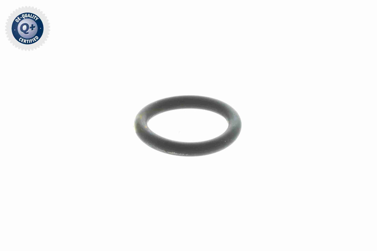 Seal Ring - V20-72-9901