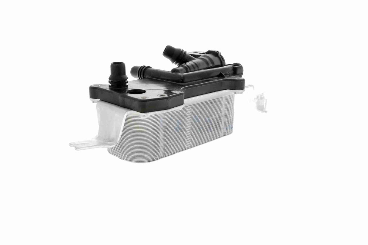 Oil Cooler, engine oil - V20-60-0058