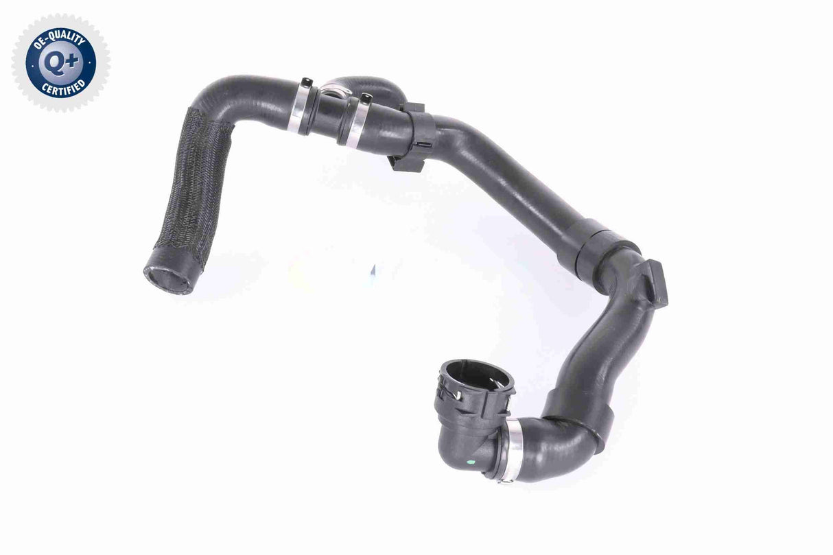 Radiator Hose - V10-5783