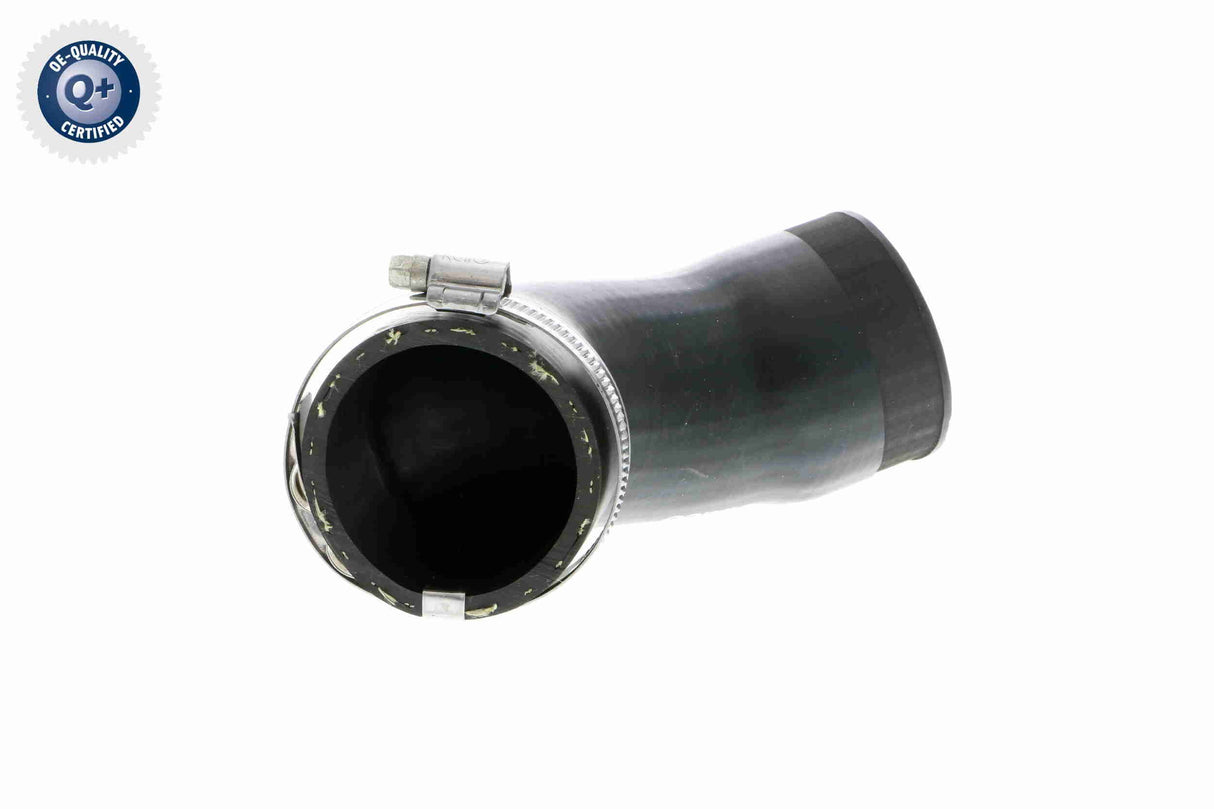 Charge Air Hose - V10-2831