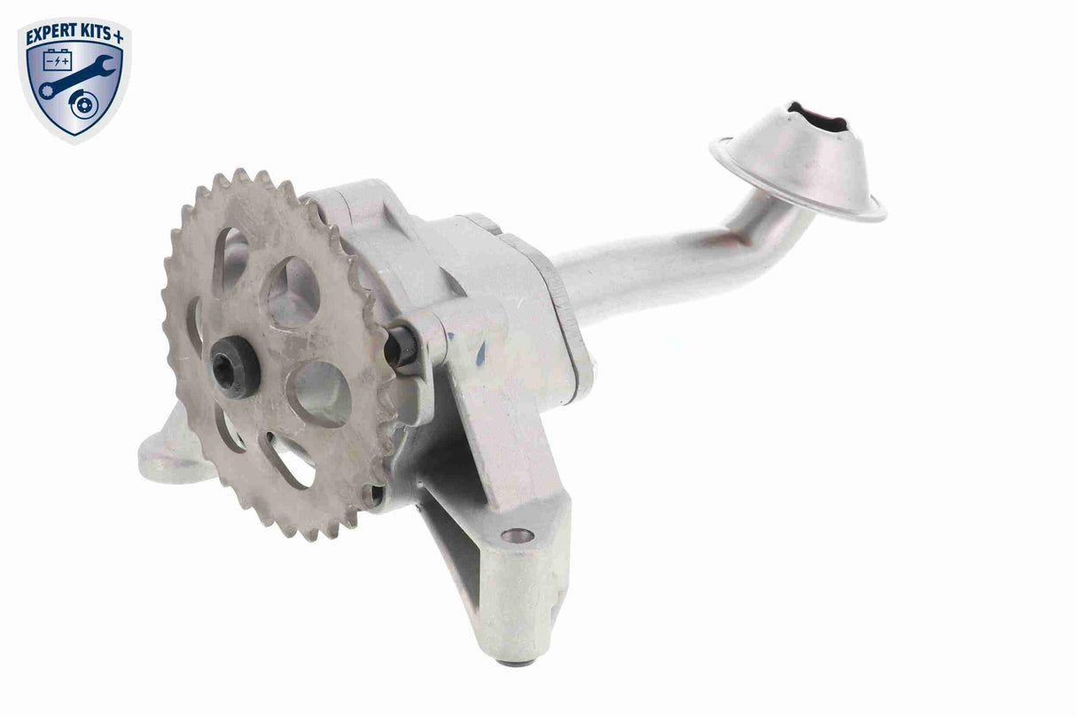 Oil Pump - V10-3724