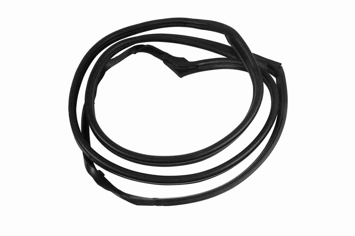 Door Seal - V30-1563