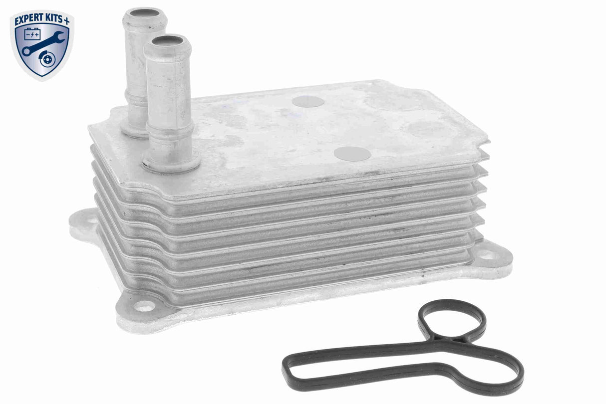 Oil Cooler, engine oil - V25-60-0033
