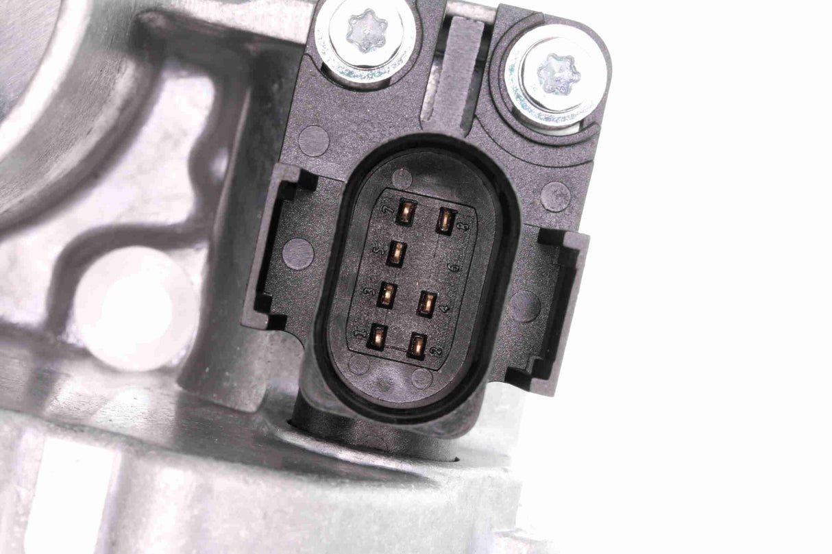 Throttle Body - V10-81-0001-1