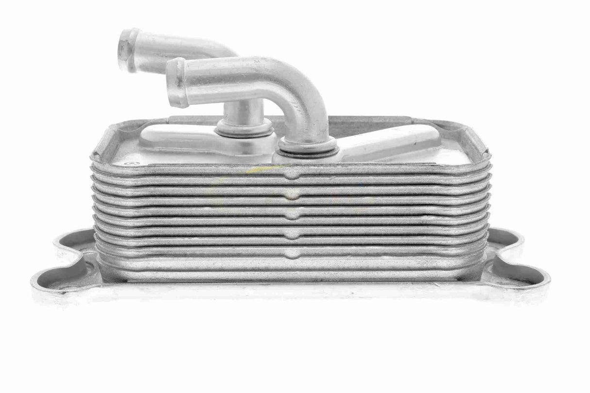 Oil Cooler, engine oil - V95-60-0013