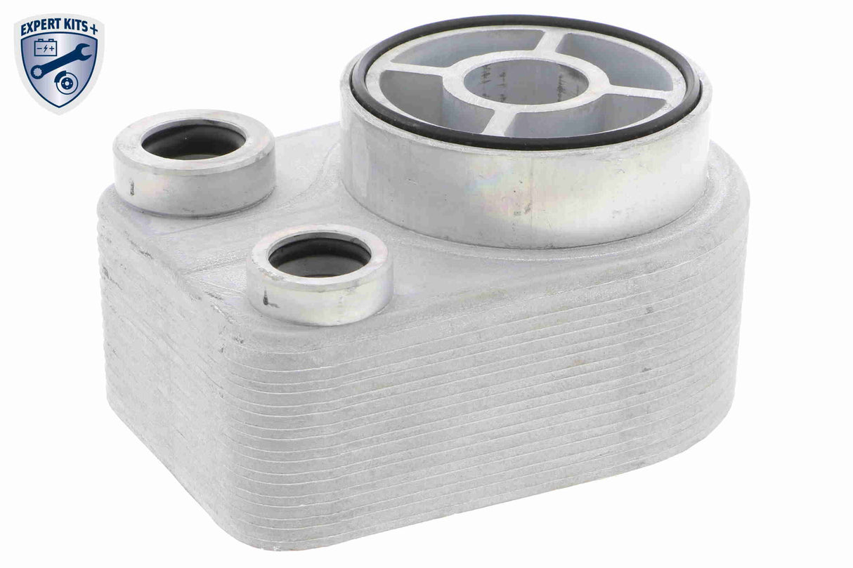Oil Cooler, engine oil - V46-60-0010