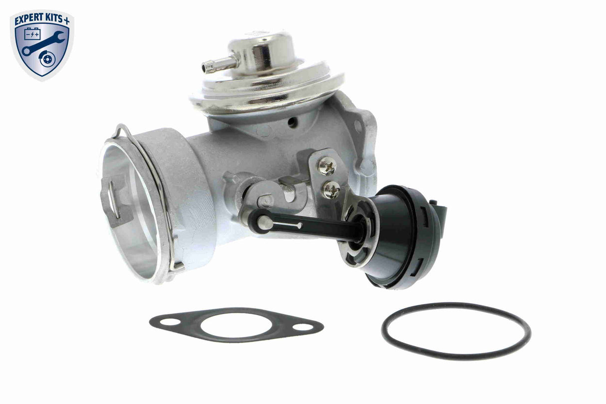 Valve, exhaust gas recirculation - V10-63-0020