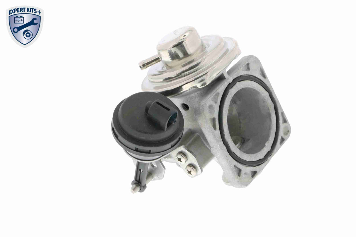 Valve, exhaust gas recirculation - V10-63-0033