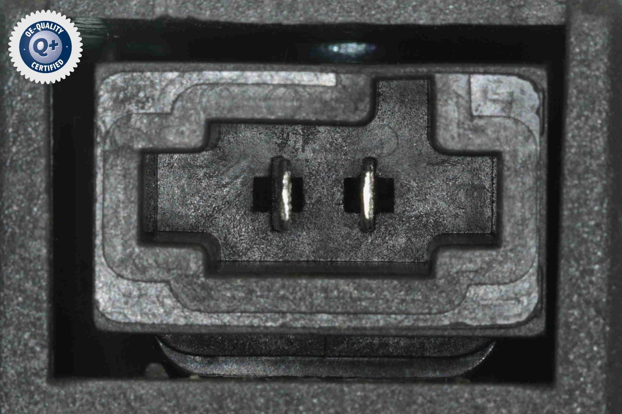 Interior Blower - V24-03-1356