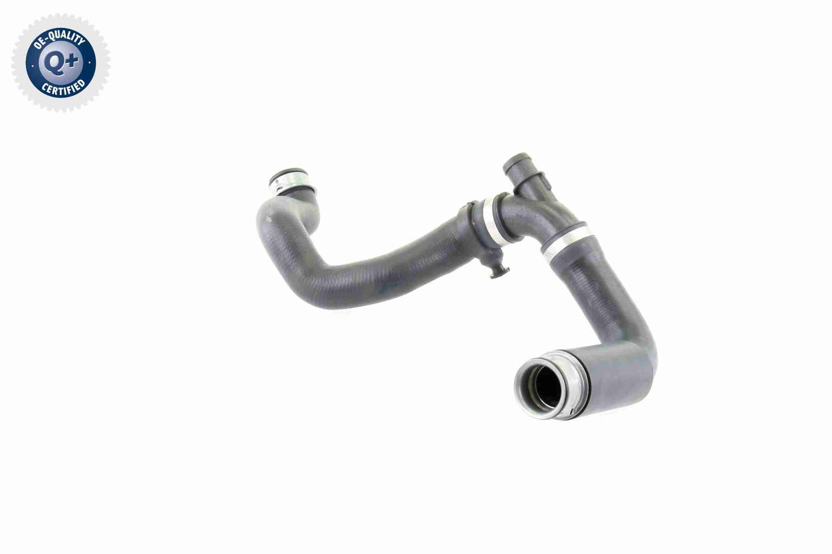 Radiator Hose - V30-2233