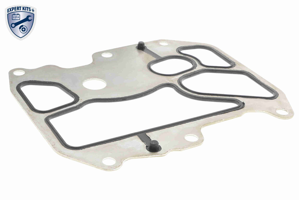 Oil Cooler, engine oil - V15-60-6075