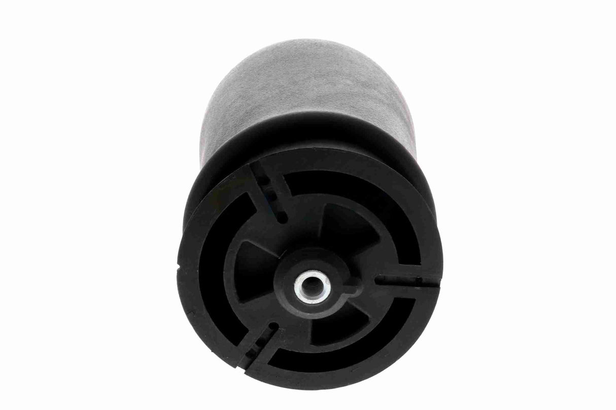 Air Suspension Strut - V20-50-0019-1