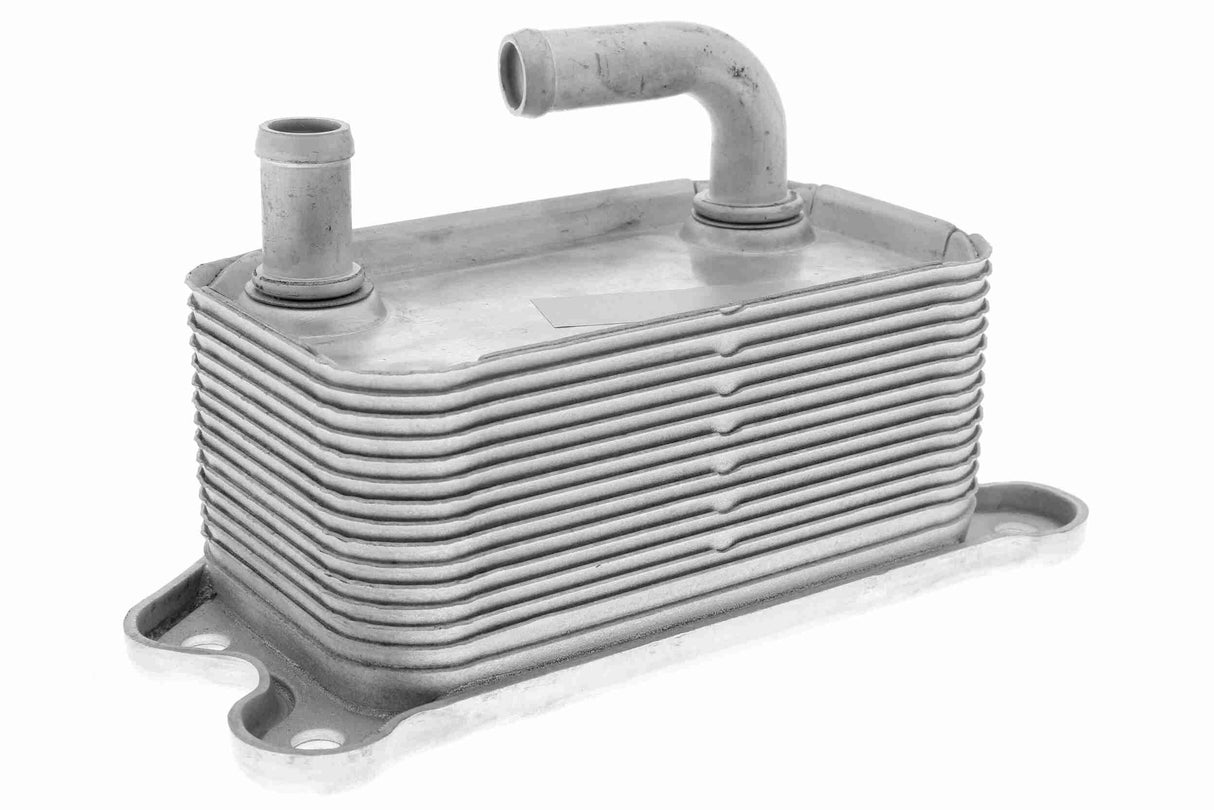 Oil Cooler, engine oil - V95-60-0011