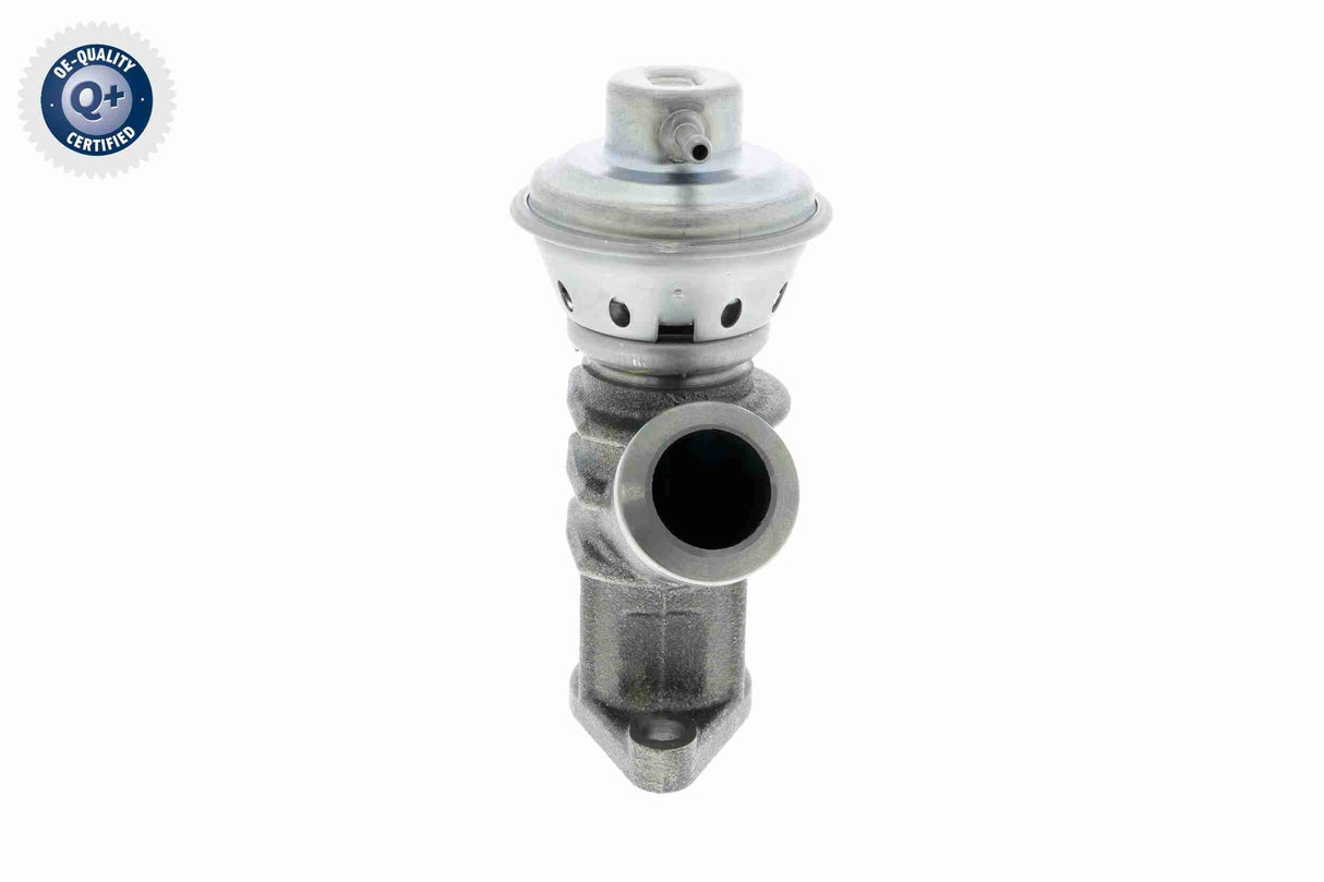 Valve, exhaust gas recirculation - V42-63-0004