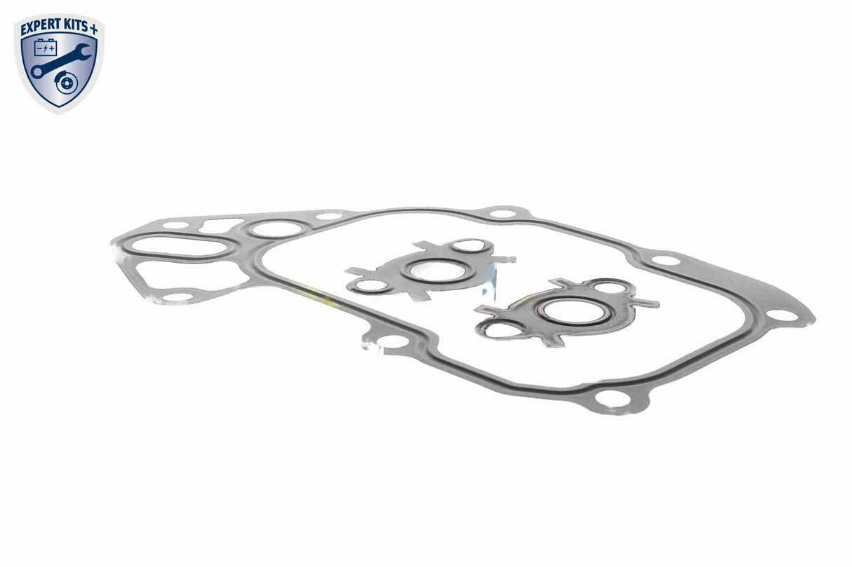 Gasket Set, oil cooler - V22-60-9043