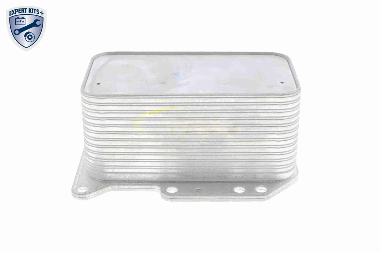 Oil Cooler, engine oil - V46-60-0012
