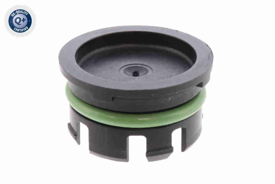 Timing Chain Kit - V48-10001