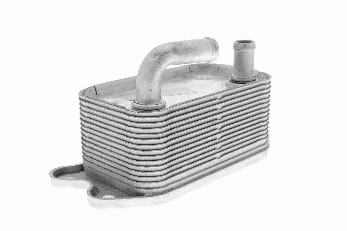 Oil Cooler, engine oil - V95-60-0011