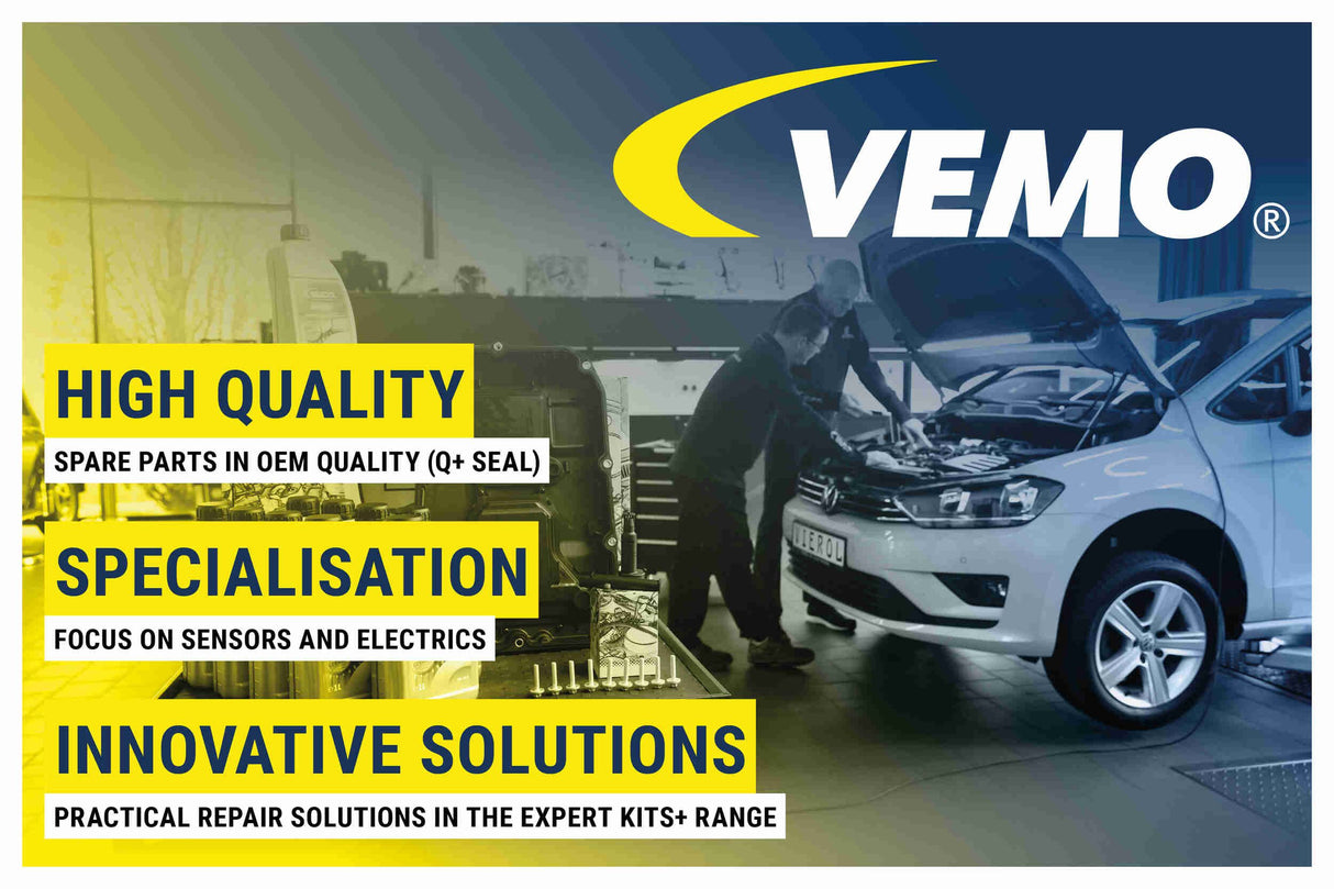 Air Suspension Strut - V10-50-0005