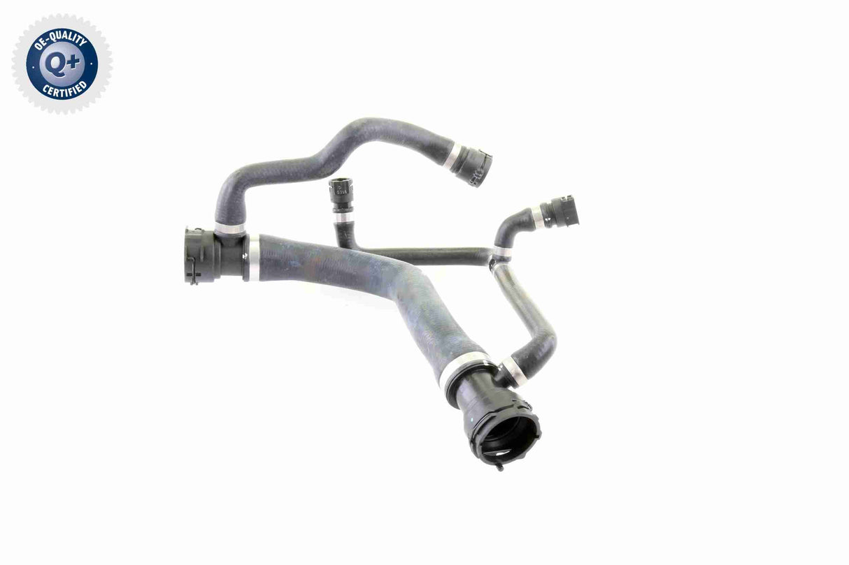 Radiator Hose - V20-0874