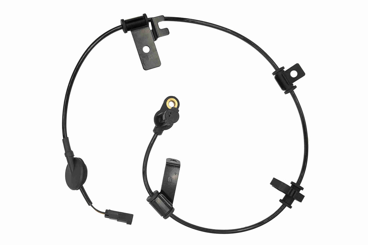 Sensor, wheel speed - V25-72-1205