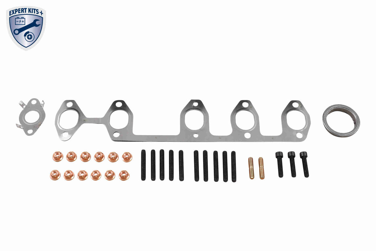 Manifold, exhaust system - V10-6555