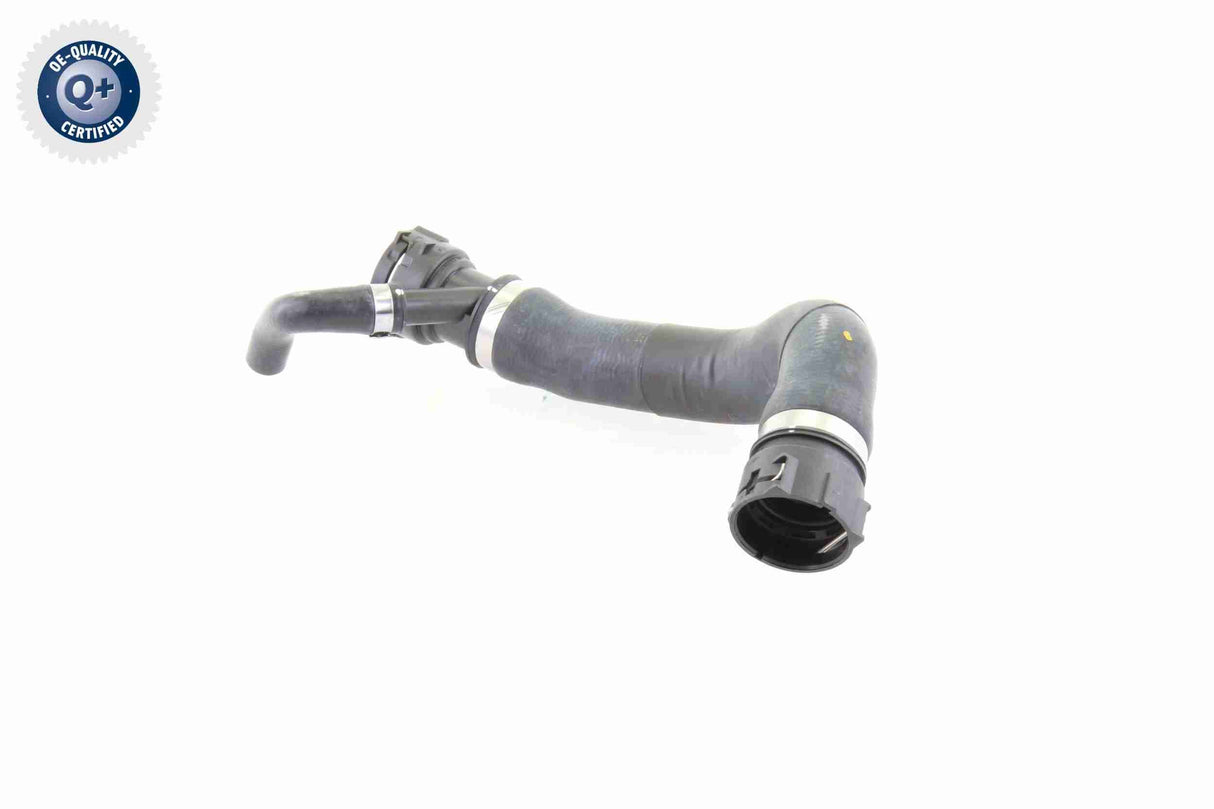 Radiator Hose - V20-1781