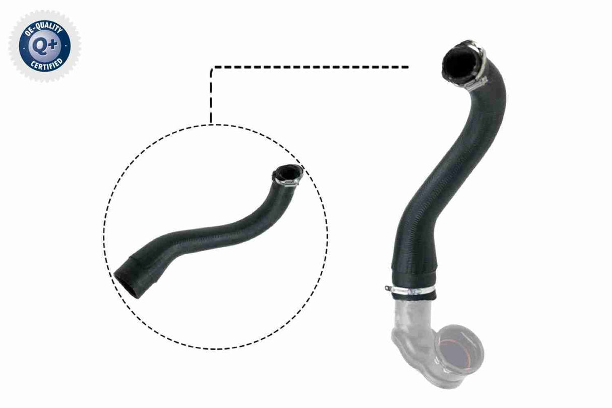 Charge Air Hose - V40-1498