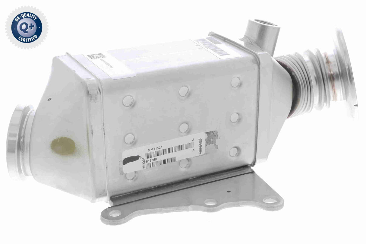 Cooler, exhaust gas recirculation - V24-63-0023