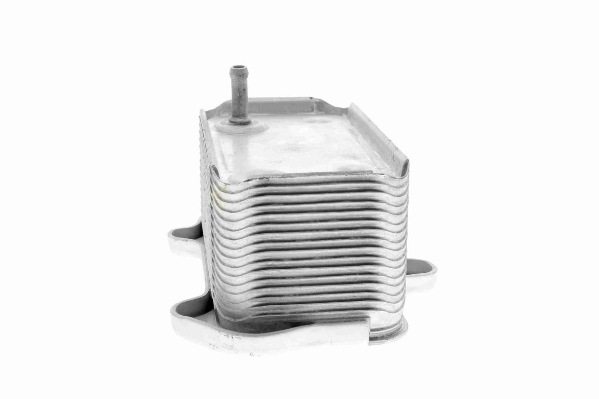 Oil Cooler, engine oil - V45-60-0003