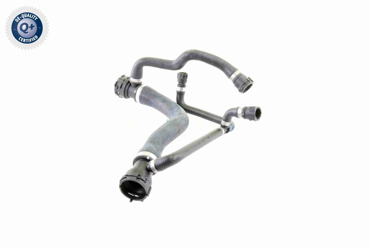 Radiator Hose - V20-0874
