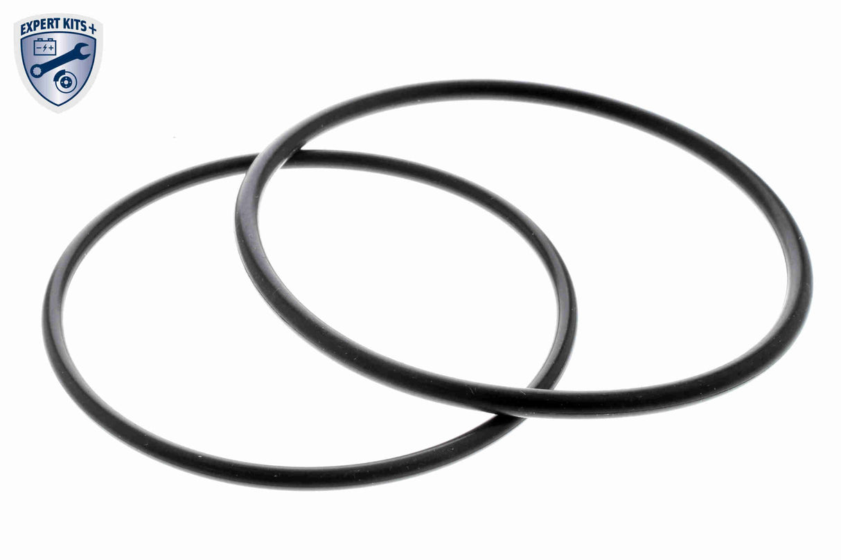 Gasket Set, EGR system - V10-63-9011