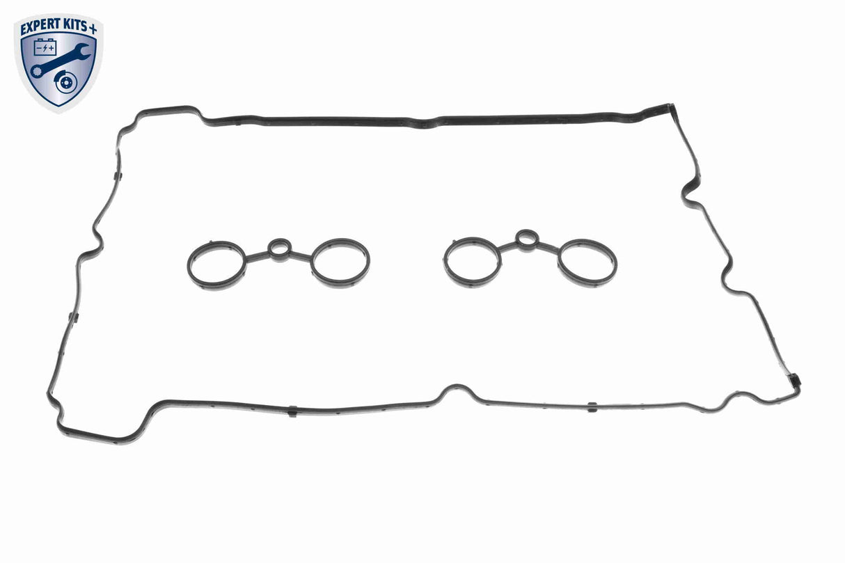 Cylinder Head Cover - V20-2178
