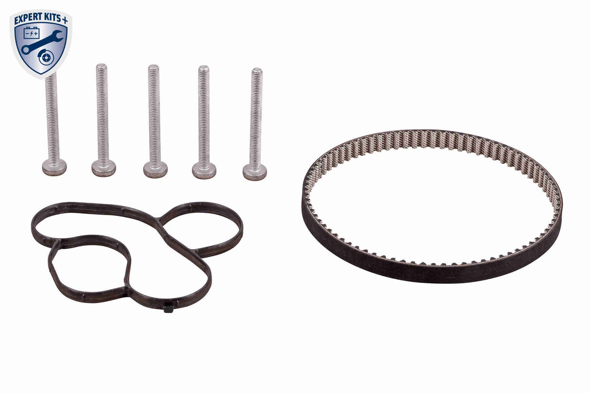 Water Pump & Timing Belt Kit - V15-99-2113