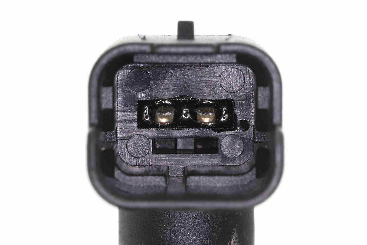 Hose, fuel overflow - V46-1346