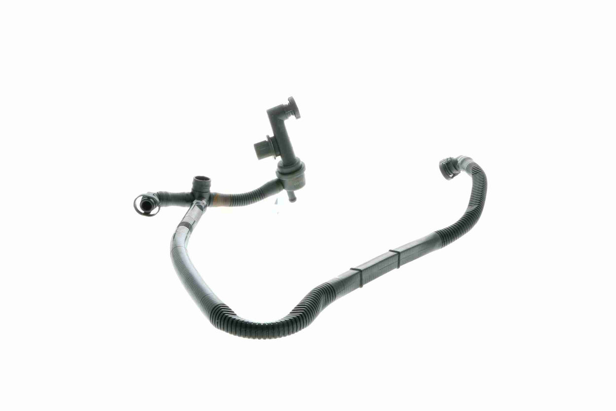 Hose, crankcase ventilation - V10-3094