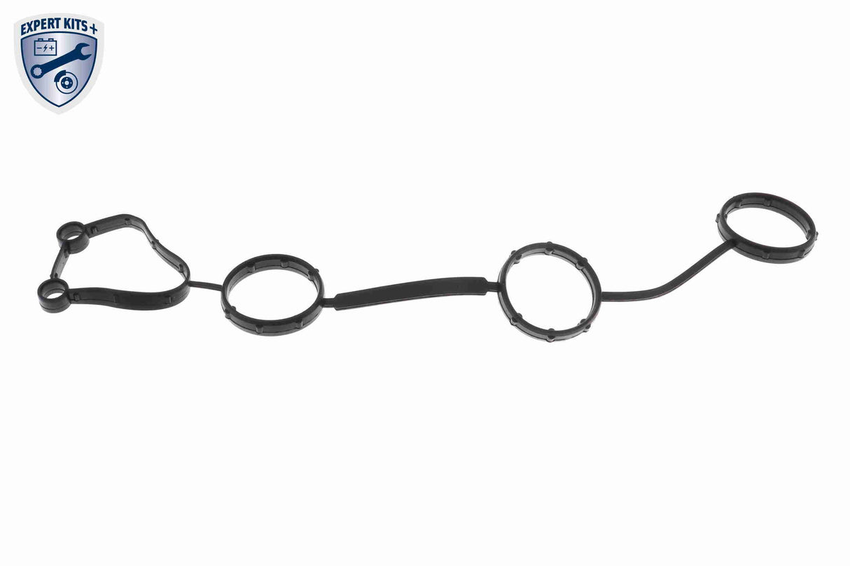 Timing Chain Kit - V10-10011