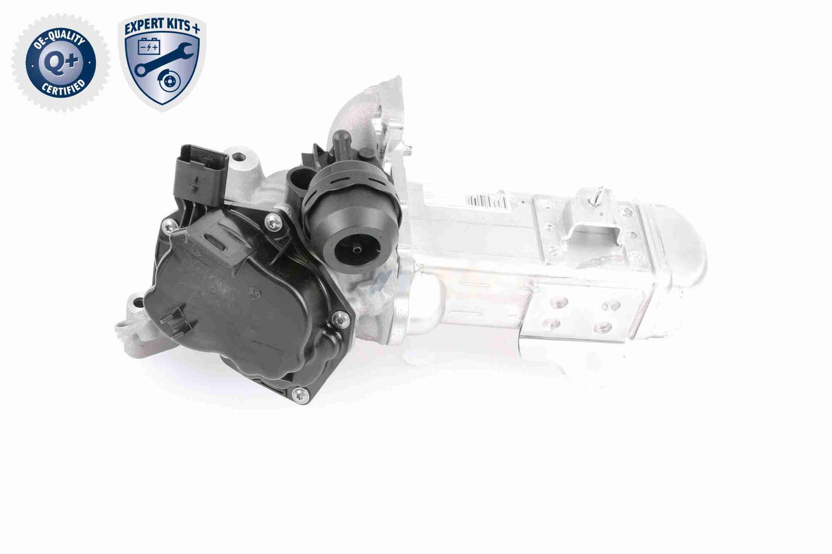 EGR Module - V22-63-0004