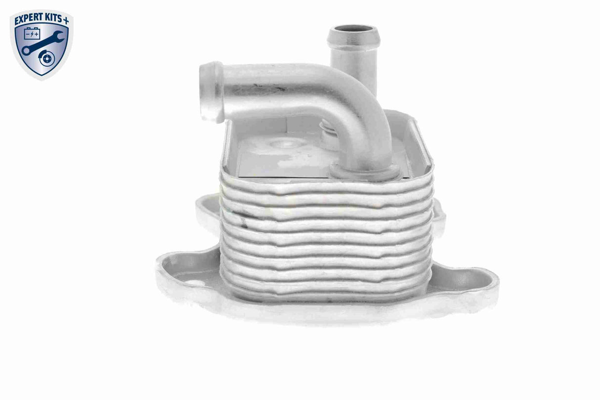 Oil Cooler, engine oil - V40-60-2106
