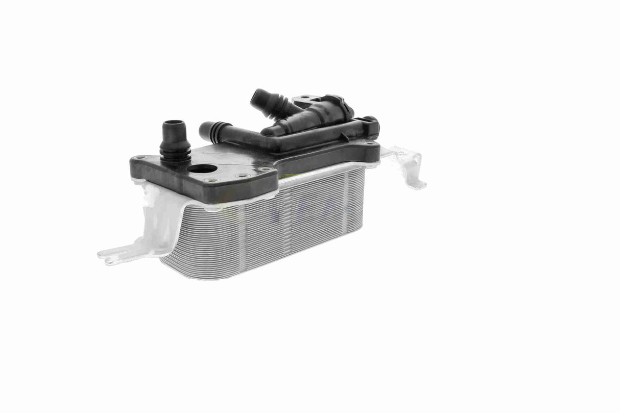 Oil Cooler, engine oil - V20-60-0052