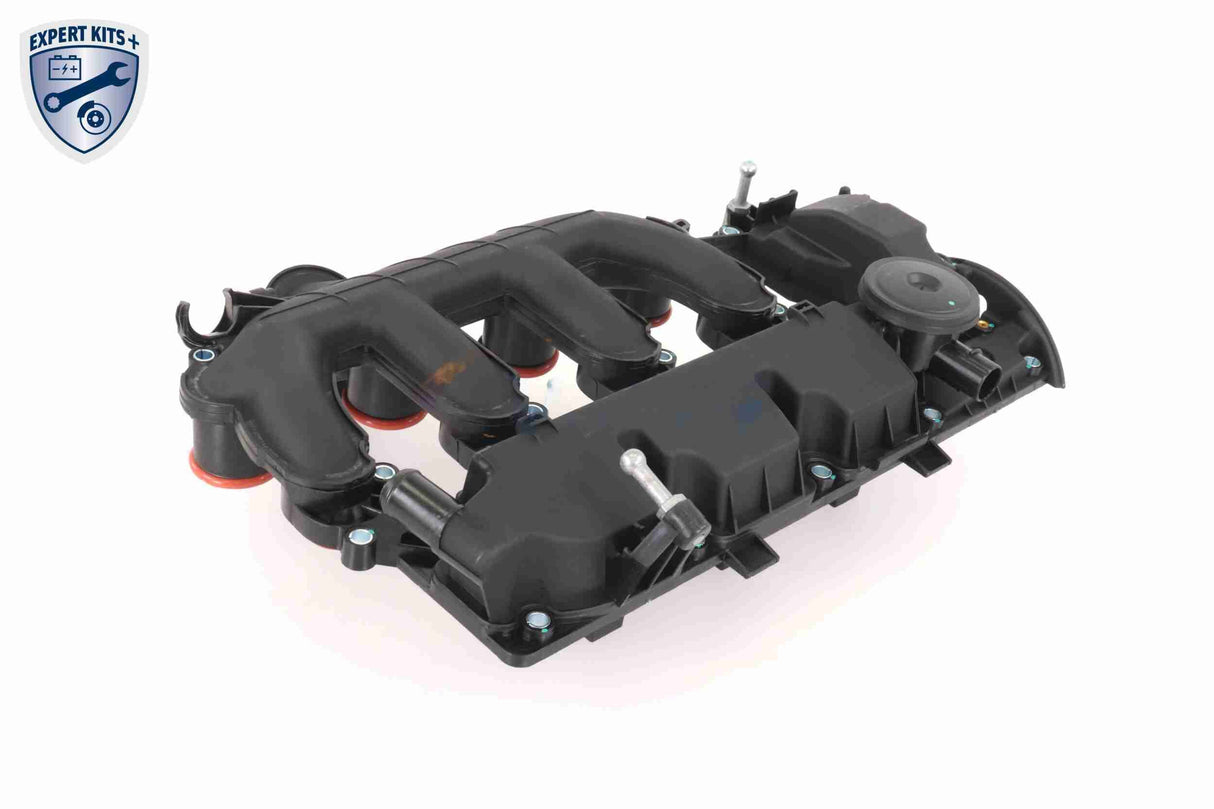 Cylinder Head Cover - V42-1046