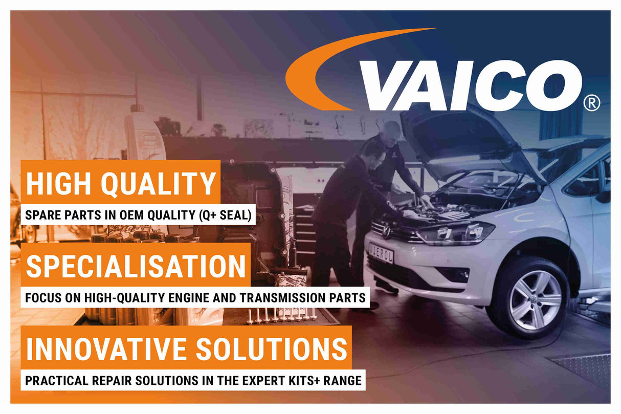 Engine Oil - V60-0379