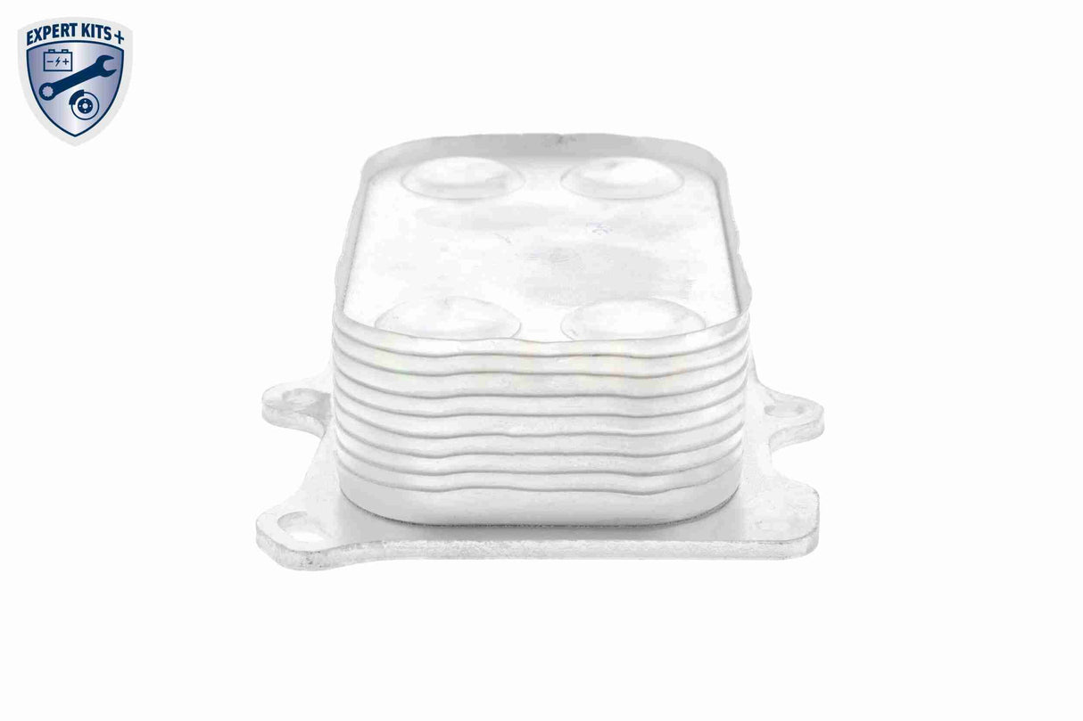 Oil Cooler, engine oil - V24-60-0014