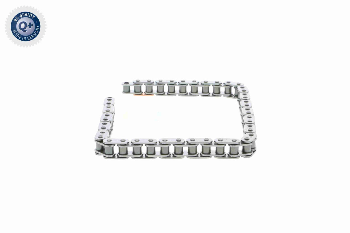 Timing Chain - V30-2319