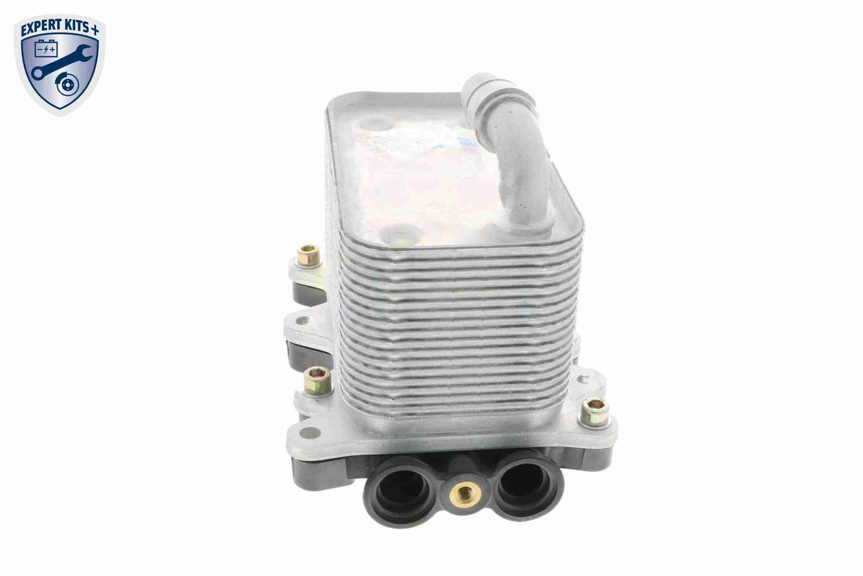 Oil Cooler, engine oil - V20-60-0046