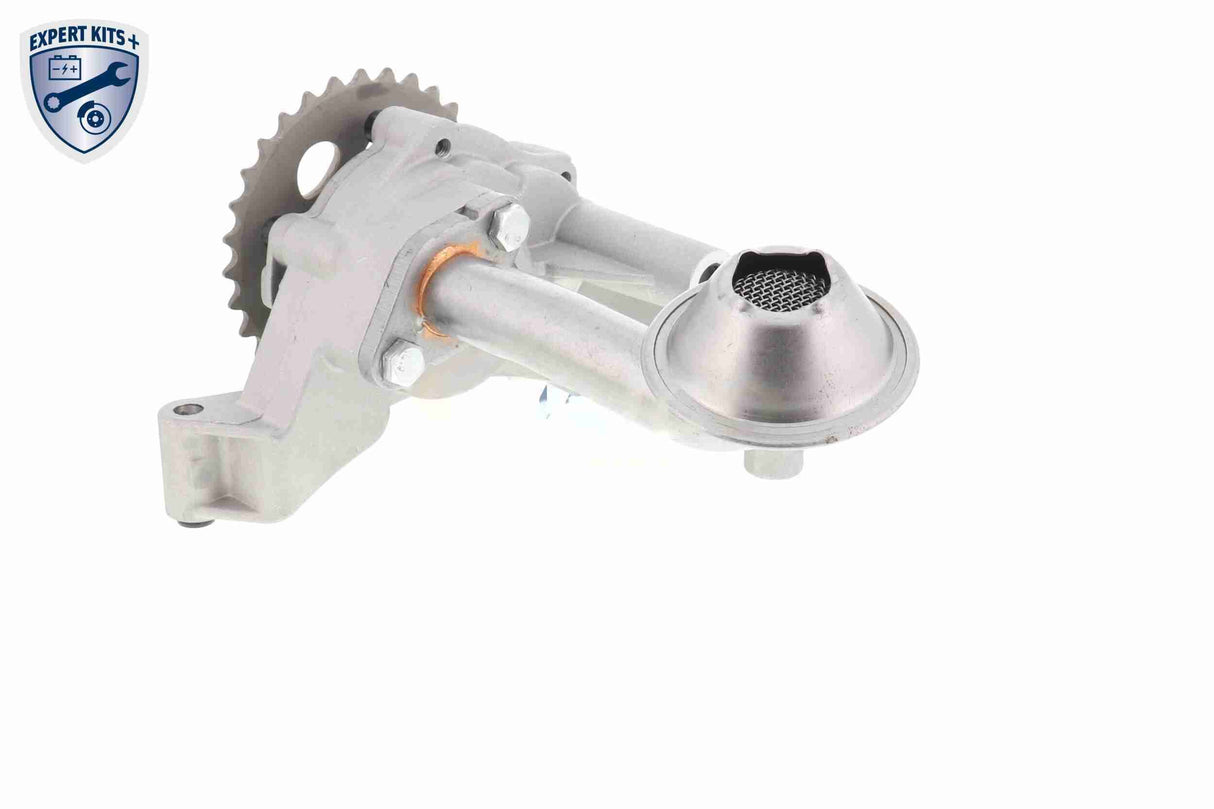 Oil Pump - V10-3724