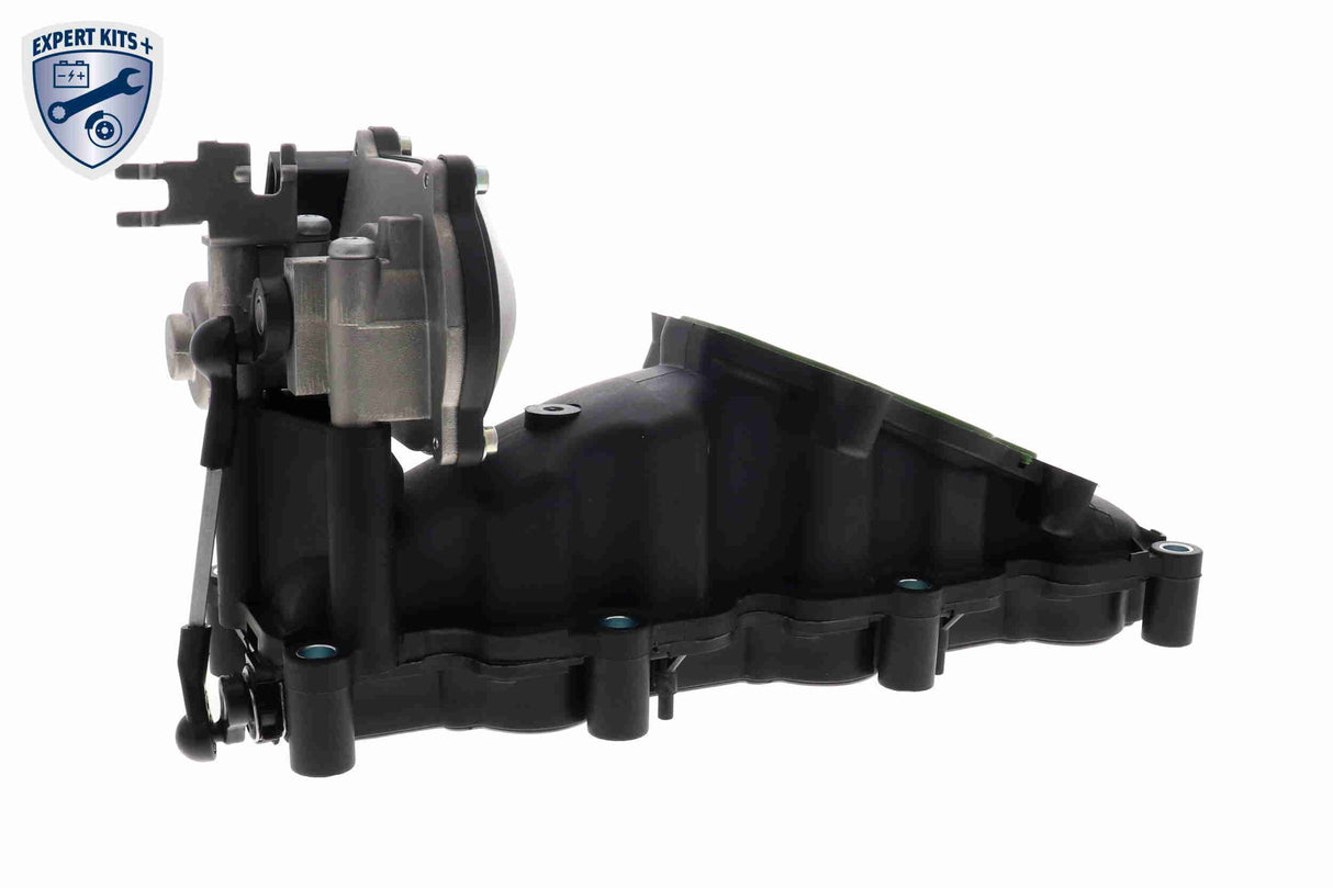 Intake Manifold Module - V10-6483