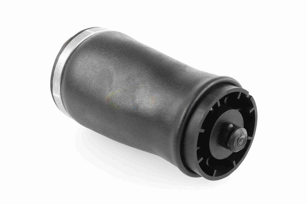 Air Suspension Strut - V20-50-0003-1