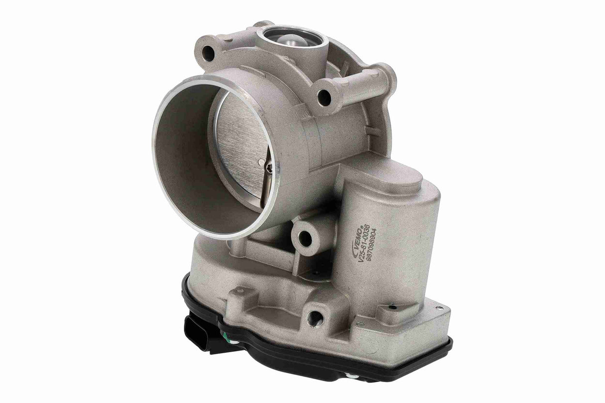 Throttle Body - V25-81-0036