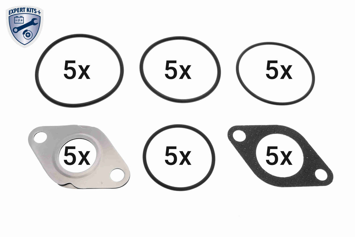 Gasket Set, EGR system - V10-63-0187